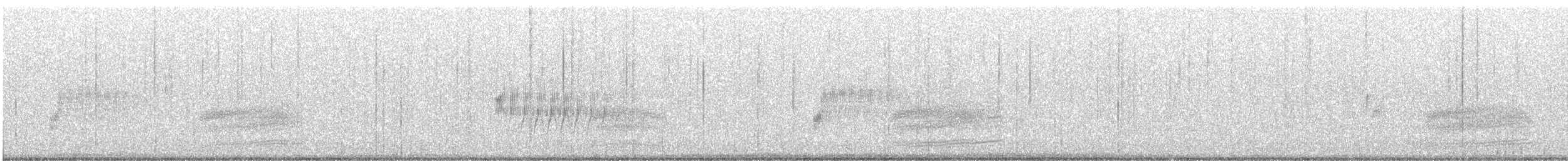 Spotted Towhee - ML568741891