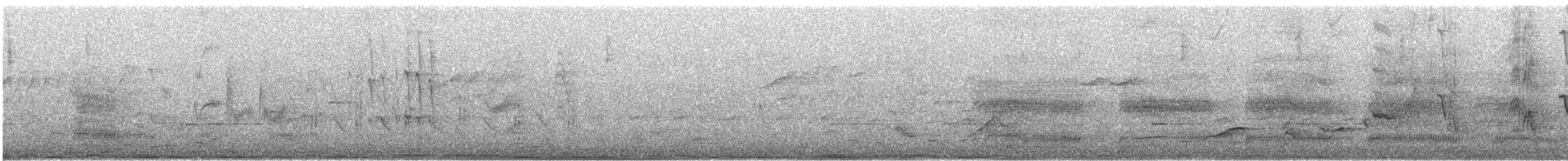 紐澳紅嘴鷗 - ML568764791