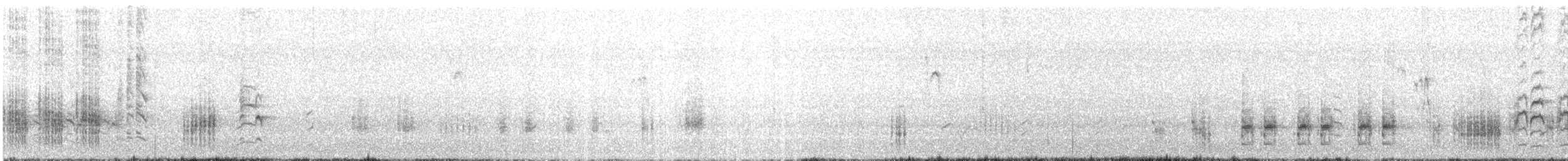Great Reed Warbler - ML568765011