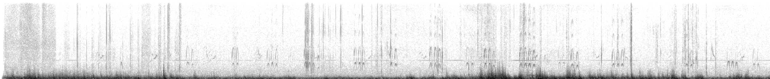 kulík mořský (ssp. alexandrinus/nihonensis) - ML568767741