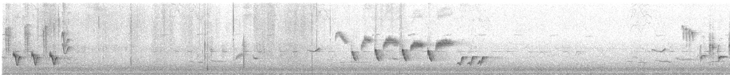 Зулбаран гургалдай - ML568769741