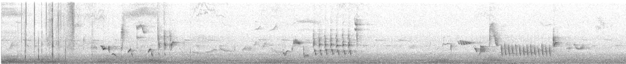 Зулбаран гургалдай - ML568769751