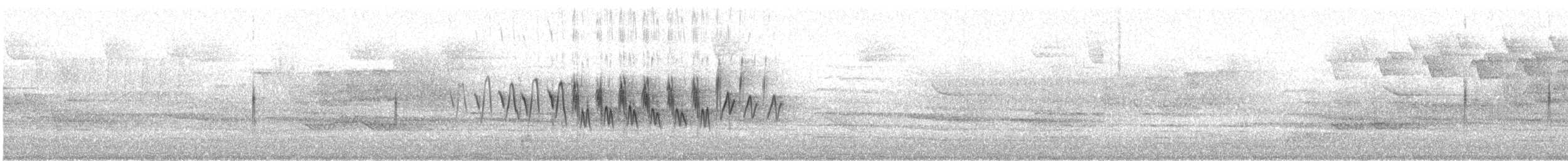 Yellow-rumped Warbler (Myrtle) - ML568799071