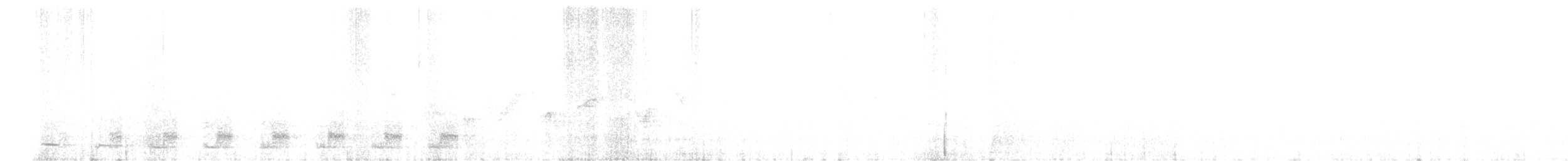Trogon élégant - ML568834481