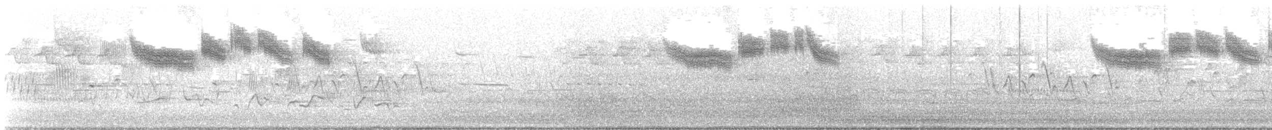 Голубокрылая червеедка - ML568840321