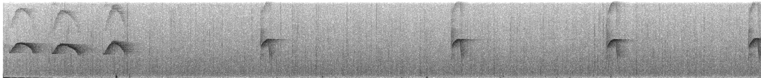 Светлогорлый тенелюб - ML568843001