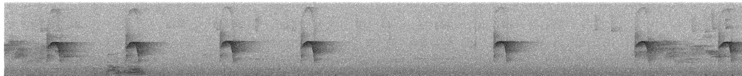 Светлогорлый тенелюб - ML568843871