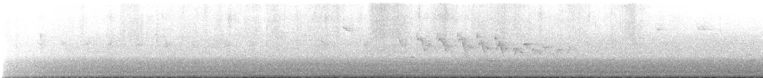 Yellow-throated Warbler - ML568851011