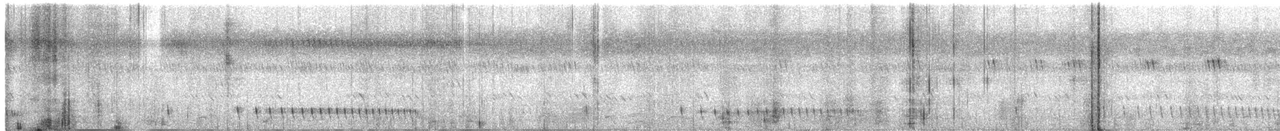 Chotacabras Hindú - ML568856321