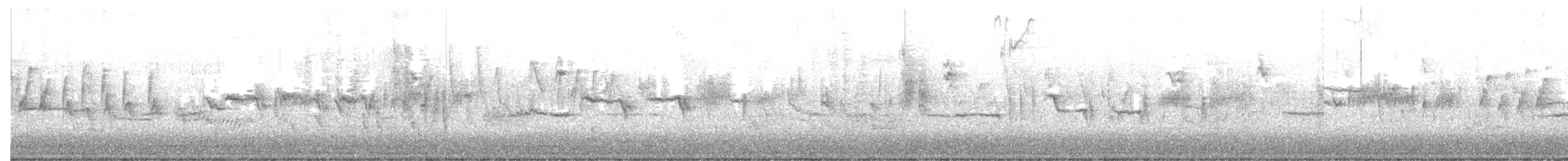 White-crowned Sparrow - ML568861461