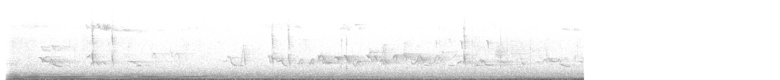 Troglodyte de Baird (groupe pacificus) - ML568895591