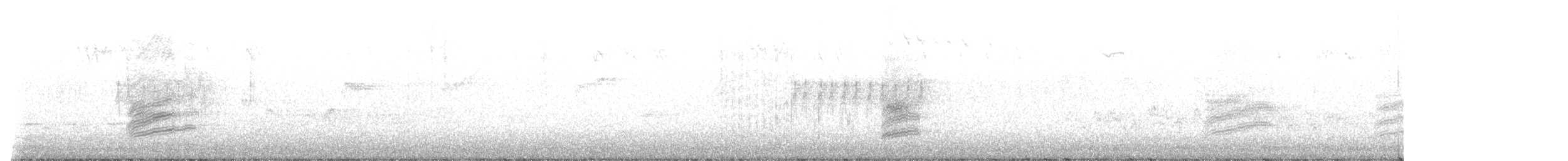 Fleckengrundammer [oregonus-Gruppe] - ML568895831