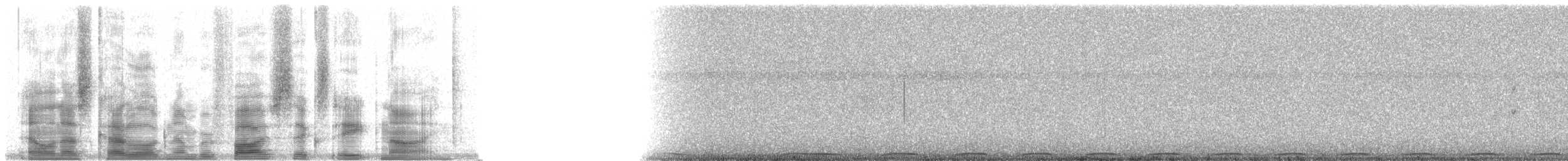 Понпейская веерохвостка - ML5689