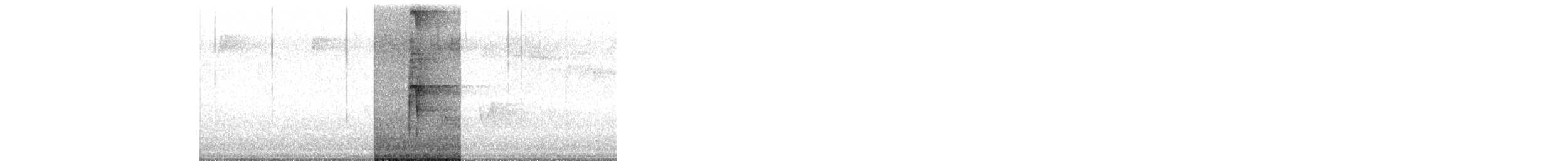 Hairy Woodpecker - ML568903661