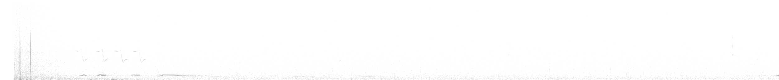 Белокрылая горлица - ML568921881