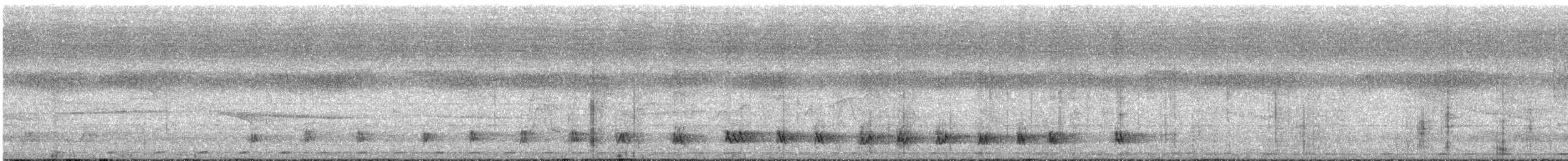 Velvet-mantled Drongo (Fanti) - ML569010641