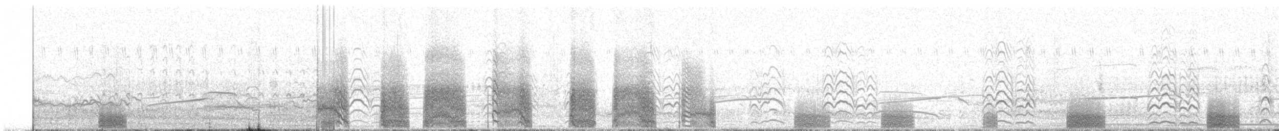 Weißkehl-Sturmschwalbe - ML569038881