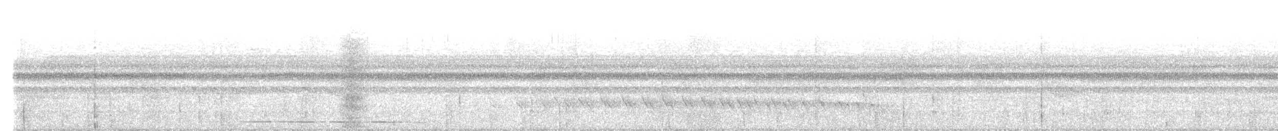 Кадук панамський (підвид obscura) - ML569038971