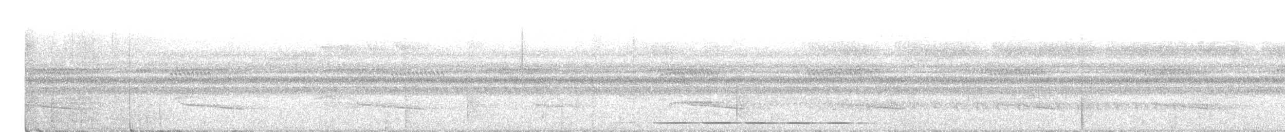 Ak Kulaklı Koca Vireo [leucotis grubu] - ML569043541