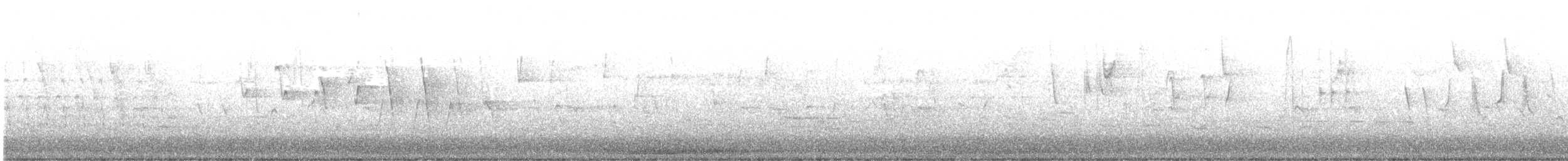 Northern Waterthrush - ML569065841