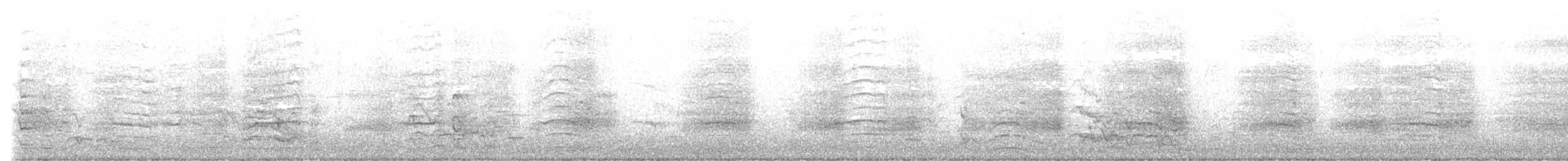 kakadu bělouchý - ML569086091