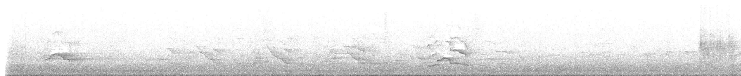 kakadu bělouchý - ML569088981