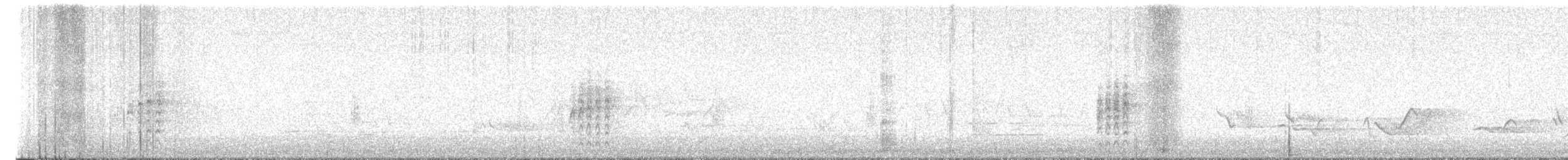 Дрізд-короткодзьоб Cвенсона - ML569105891