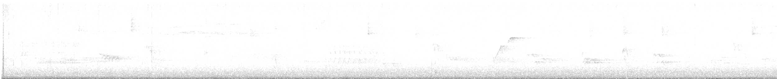 Batı Amerika Sinekkapanı (occidentalis/hellmayri) - ML569115291