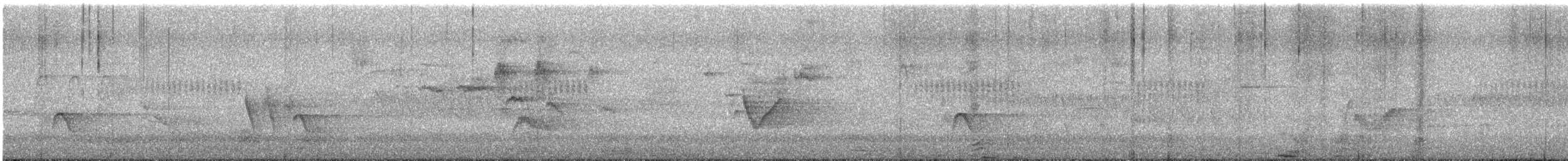 Cassin's Vireo - ML569127801