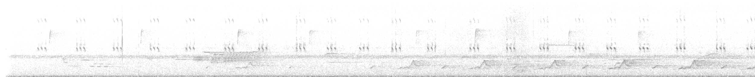 Schwarzkehl-Nachtschwalbe - ML569177141