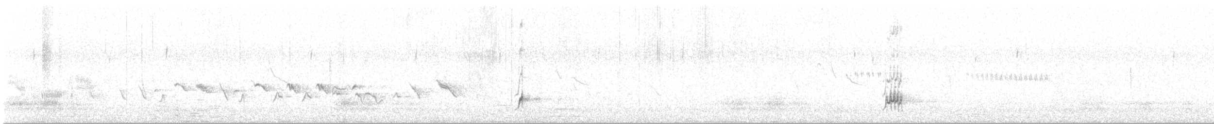 Brown-crested Flycatcher - ML569189891