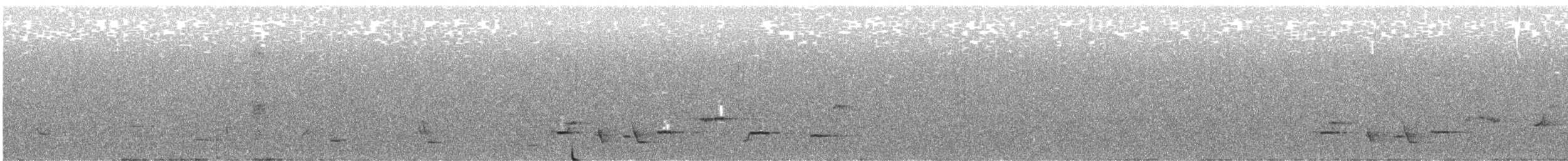 New Zealand Bellbird - ML569213521