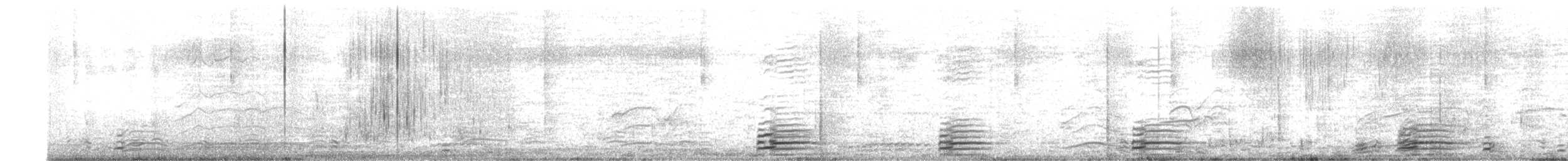 husice rezavá - ML569226911