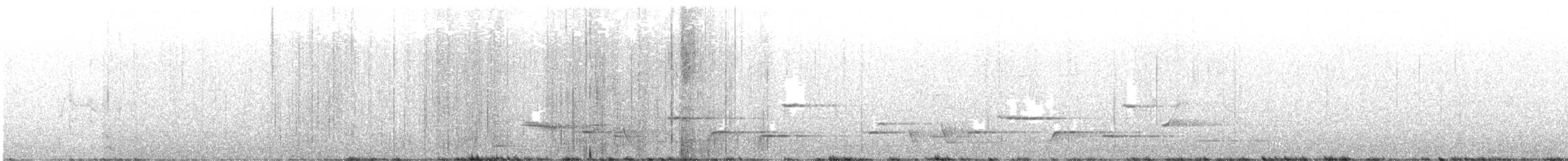 Méliphage carillonneur - ML569228911