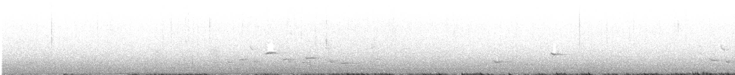 Méliphage carillonneur - ML569231981