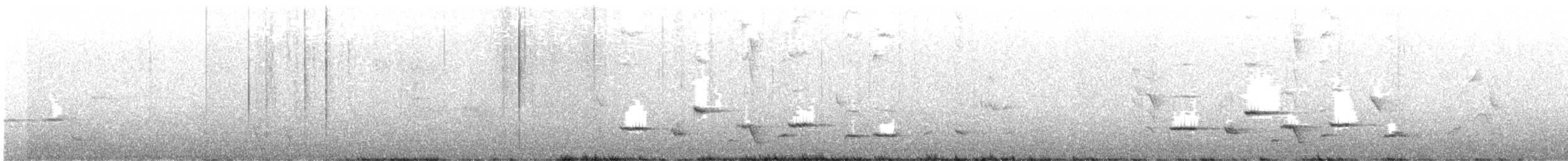 Méliphage carillonneur - ML569232001