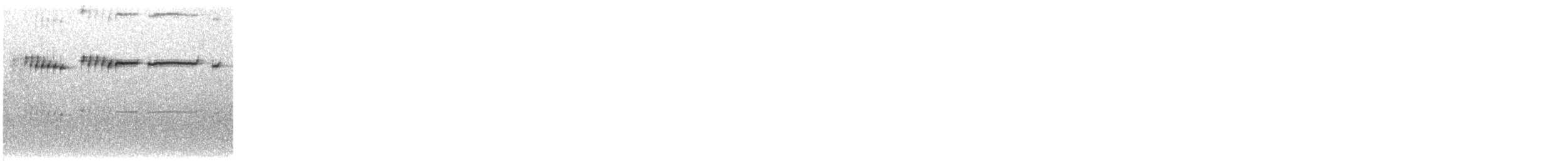 Broad-billed Warbler - ML569250941