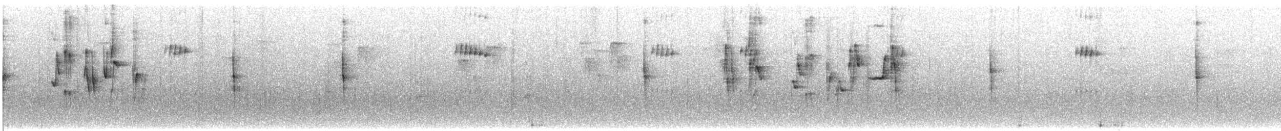 Broad-billed Warbler - ML569250951