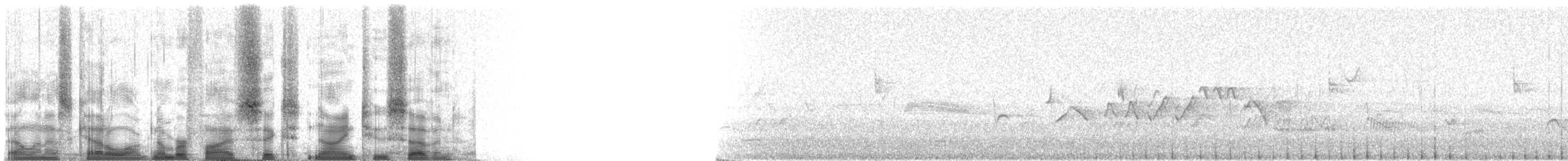 Дятел-смоктун сосновий - ML56927