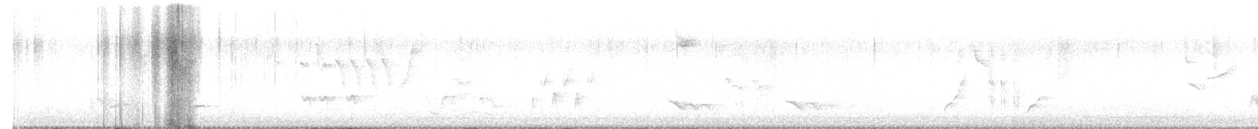 Brown Thrasher - ML569299571