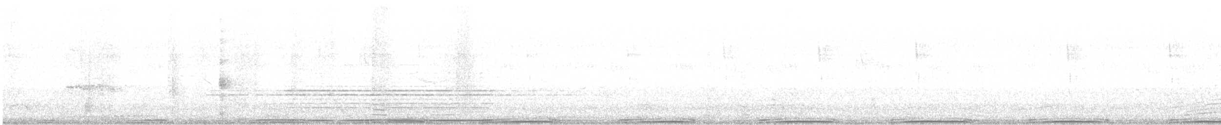 カワラバト（ドバト、家畜型） - ML569302241
