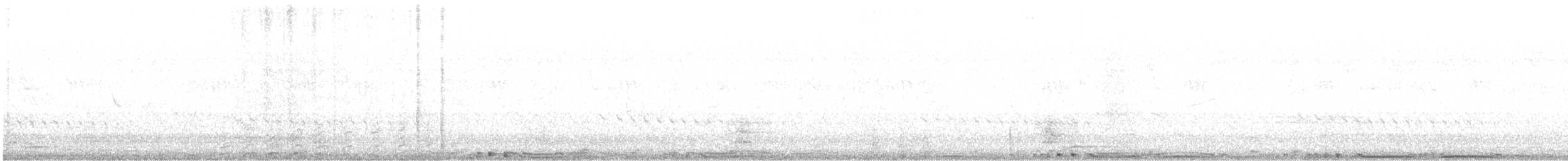 holub skalní (domácí) - ML569302251