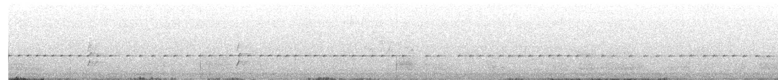 Méliphage à bec grêle - ML569316041