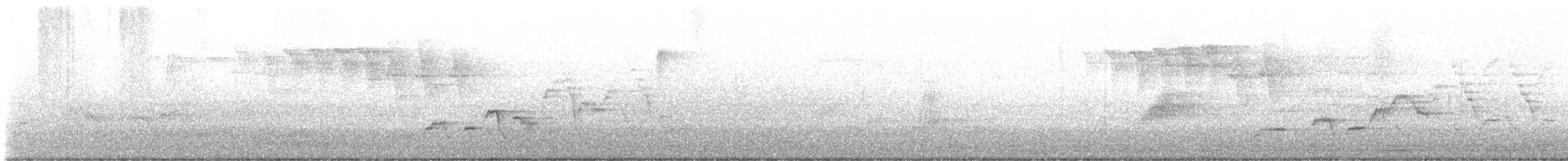 Swainson's Thrush - ML569342371