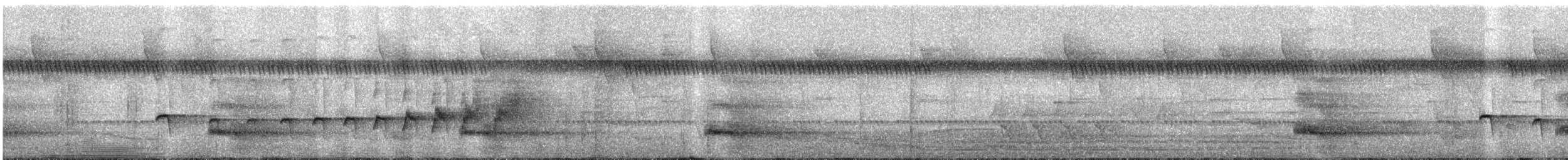 Rostflanken-Ameisenschnäpper - ML569350741