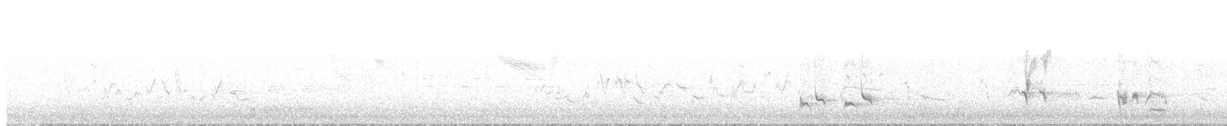 Тремблер прямодзьобий - ML569351351