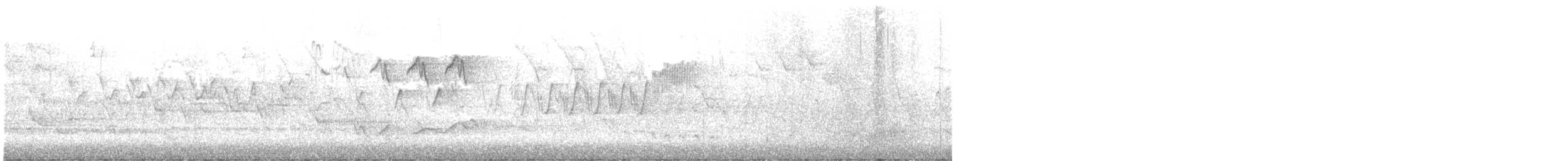 lesňáček modropláštíkový - ML569351361