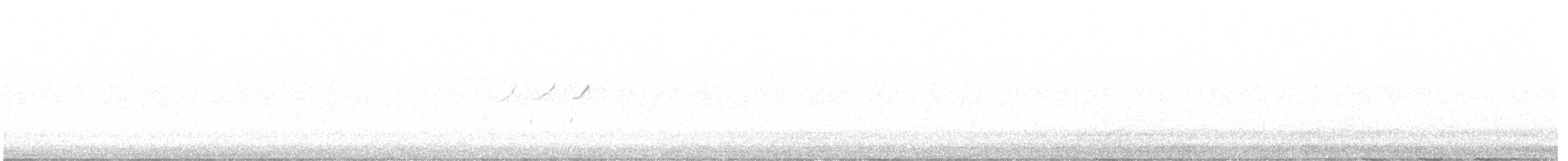 コシグロクサシギ（solitaria） - ML569360391