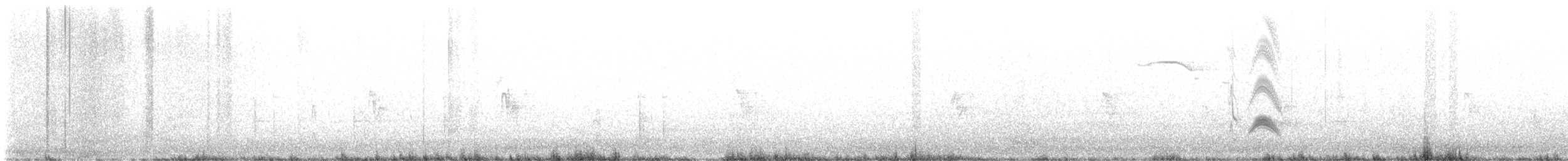 Cassin's Kingbird - ML569384801