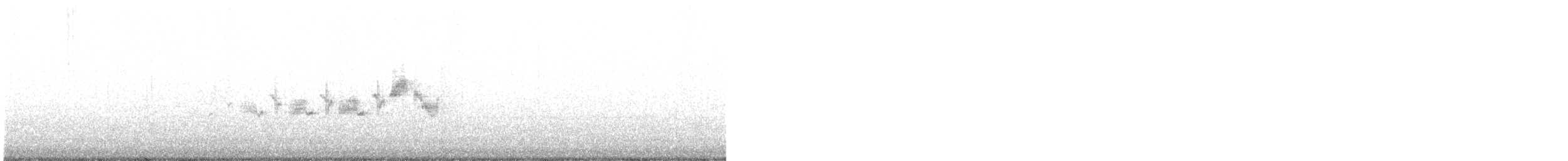 Black-throated Gray Warbler - ML569405731